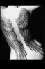 angel-wings-tattoos-image.jpg